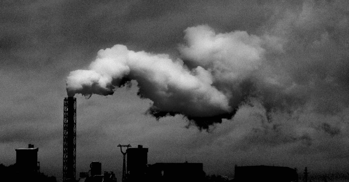 découvrez l'impact environnemental de nos actions quotidiennes et les solutions durables pour protéger notre planète. explorez les enjeux écologiques, les initiatives vertes et les pratiques écoresponsables qui font une différence.