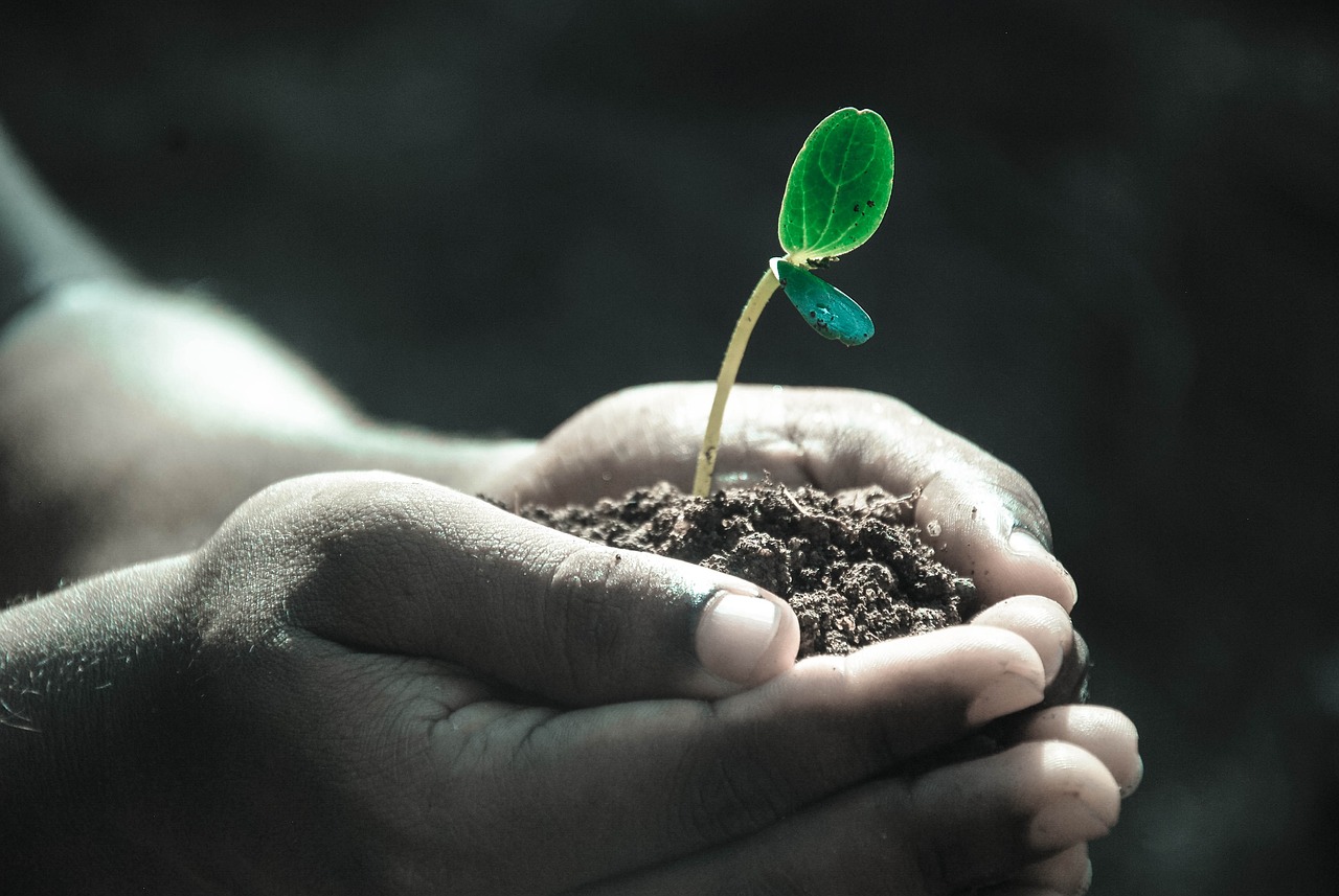 découvrez l'évaluation du cycle de vie (acv), une méthode essentielle pour analyser l'impact environnemental des produits et services tout au long de leur cycle de vie. apprenez comment cette approche contribue à la durabilité et à la réduction de l'empreinte écologique.