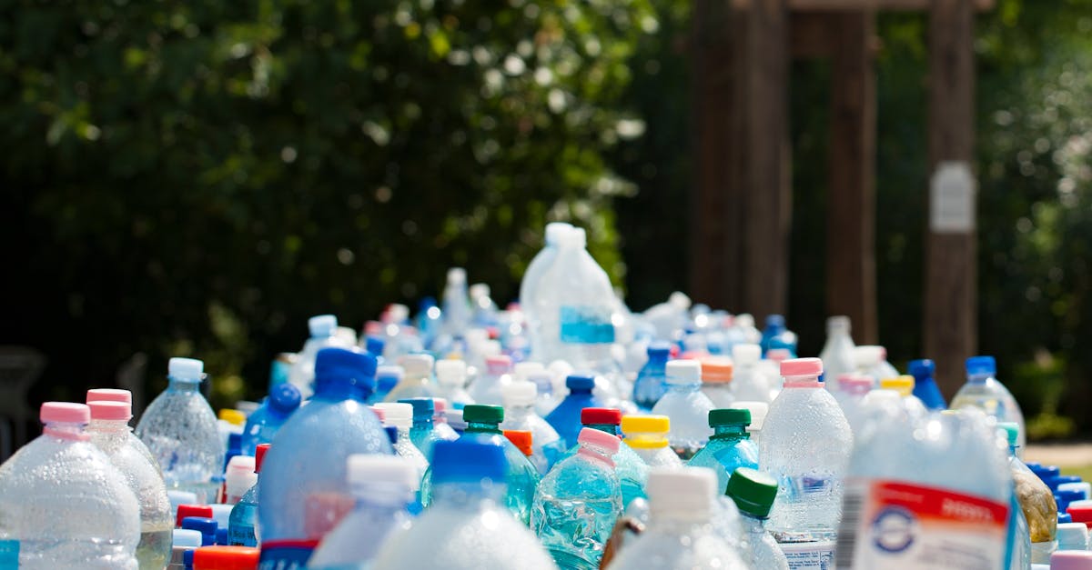 découvrez l'importance du recyclage pour préserver notre planète. apprenez comment participer à cette démarche essentielle, les matériaux recyclables et les bienfaits pour l'environnement. ensemble, faisons la différence !