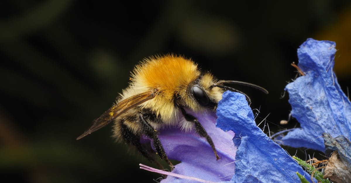 découvrez les enjeux et les stratégies d'une politique environnementale efficace. apprenez comment une approche durable peut contribuer à la protection de notre planète et à l'amélioration de la qualité de vie. explorez les initiatives clés et les meilleures pratiques pour un avenir écologique.