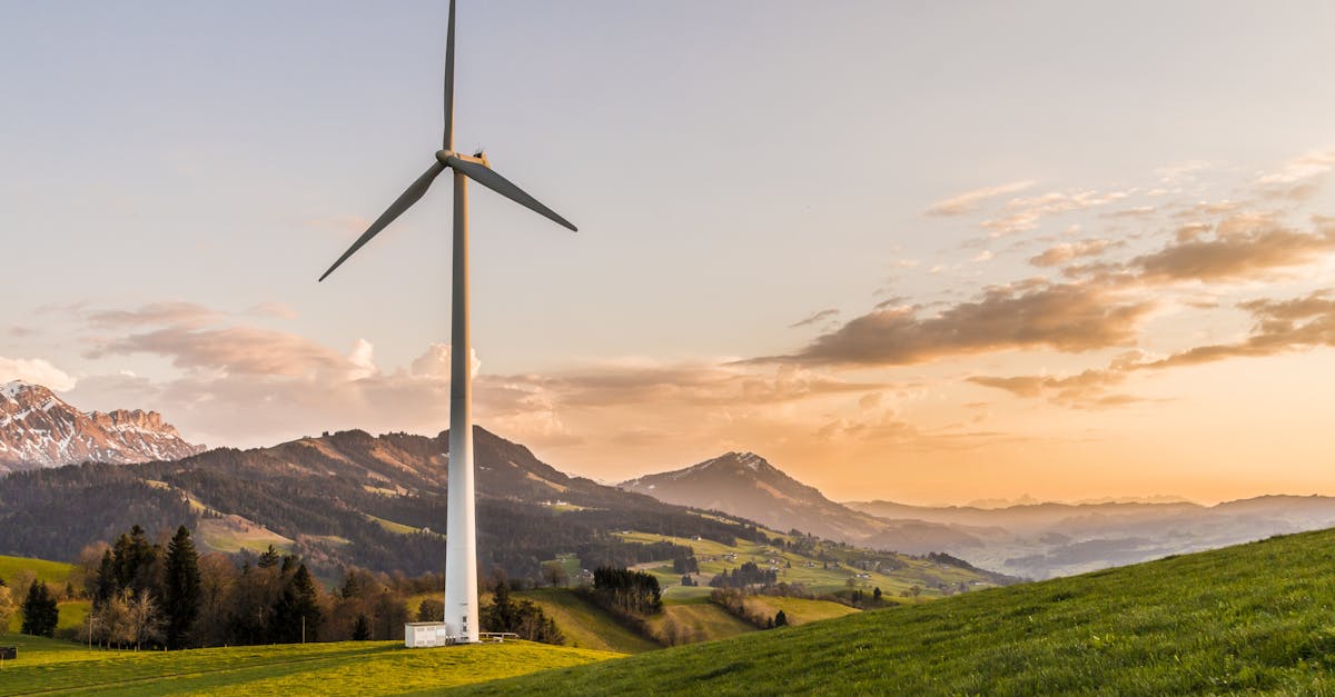 découvrez comment le développement durable transforme notre avenir. explorez des pratiques écologiques, des solutions innovantes et des stratégies pour un mode de vie respectueux de l'environnement. engagez-vous vers un monde plus durable !