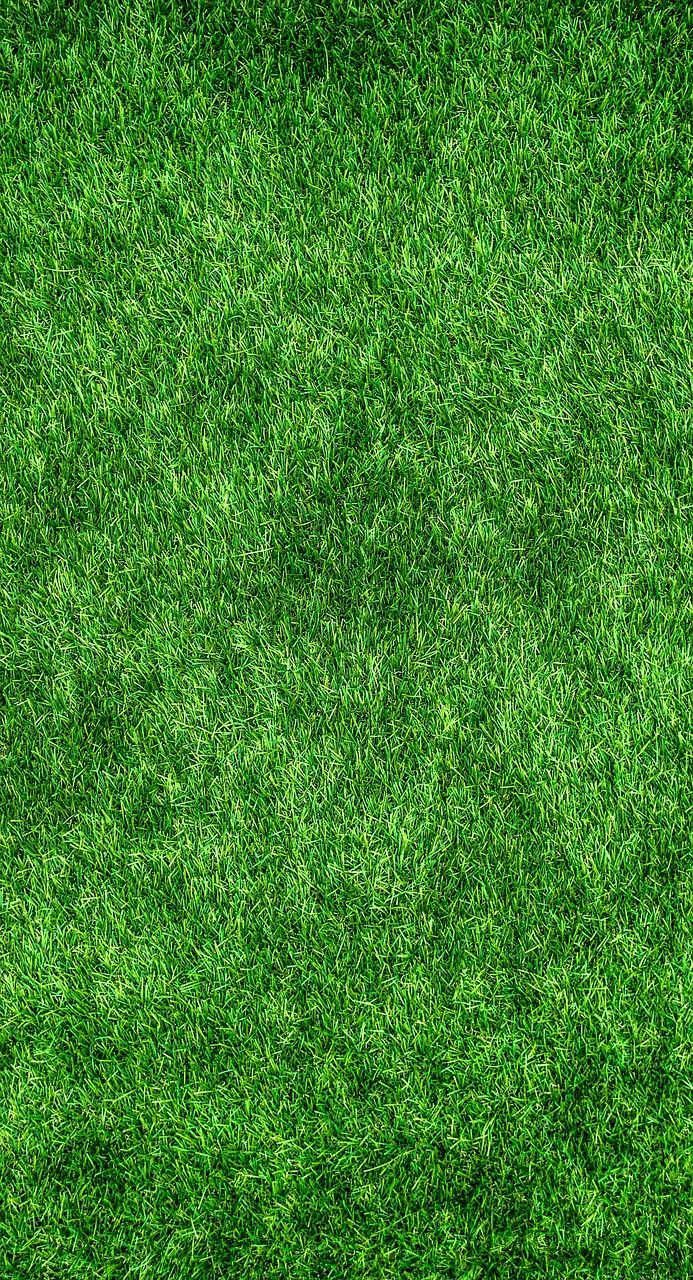 découvrez des astuces et conseils pratiques pour adopter des éco-gestes au quotidien et vivre de manière plus durable avec eco-habits.