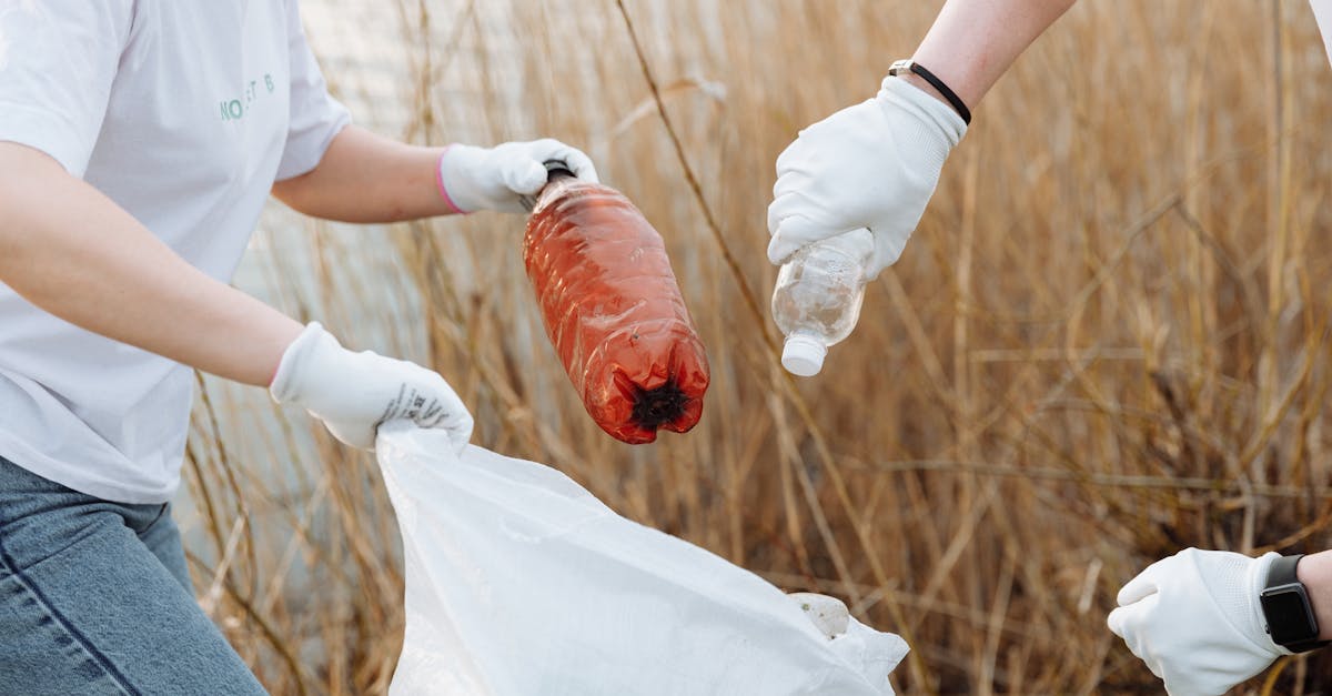 découvrez l'univers des plastiques : types, utilisations et innovations. apprenez comment ce matériau versatile façonne notre quotidien tout en abordant les enjeux environnementaux. plongez dans le monde fascinant des plastiques et leur impact sur l'avenir.