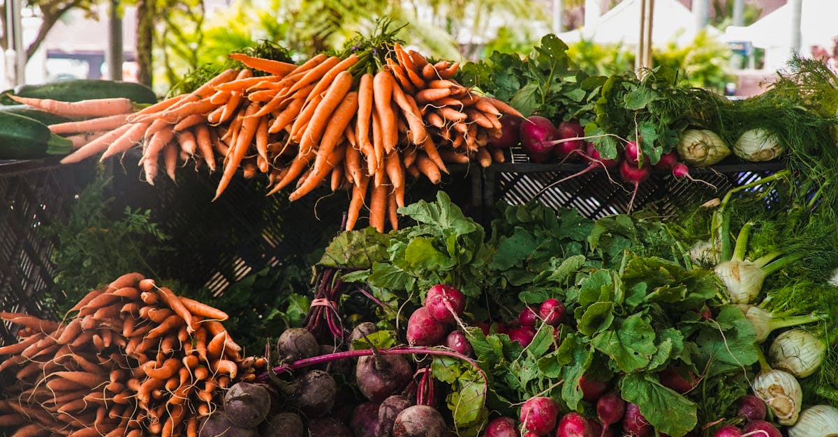 découvrez les pratiques de l'agriculture durable, qui préservent l'environnement tout en garantissant une production alimentaire de qualité. explorez les méthodes innovantes et respectueuses de la biodiversité pour un avenir agricole responsable.