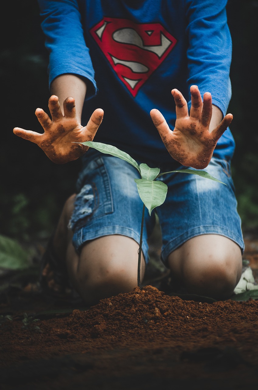découvrez des projets de plantation d'arbres qui contribuent à la reforestation et à la protection de l'environnement. rejoignez-nous pour favoriser la biodiversité et lutter contre le changement climatique grâce à des initiatives durables et communautaires.