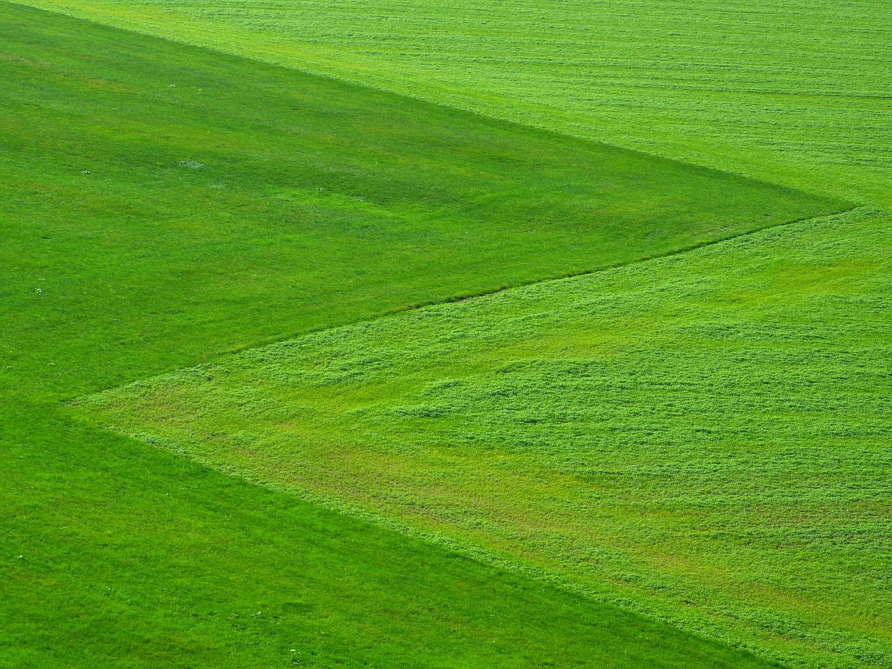 découvrez nos initiatives écologiques innovantes visant à promouvoir un avenir durable. rejoignez-nous dans nos efforts pour réduire notre empreinte carbone et protéger notre planète grâce à des actions concrètes et responsables.