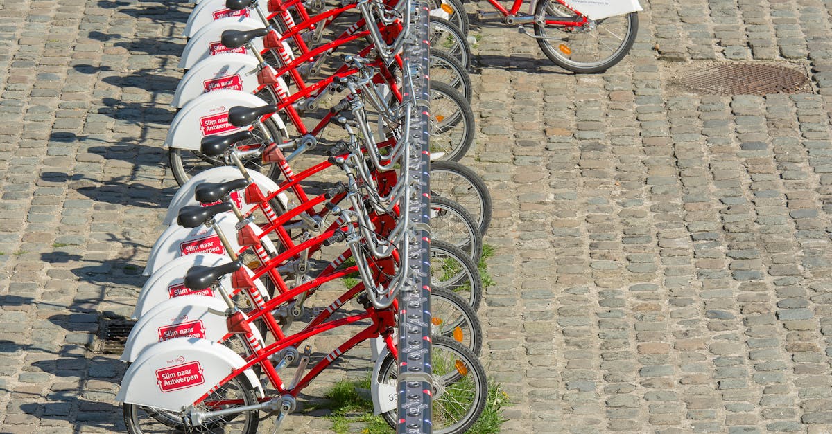 découvrez comment la mobilité durable transforme notre façon de nous déplacer, en offrant des solutions écologiques et innovantes pour un avenir plus vert. explorez les initiatives, technologies et modes de transport qui réduisent notre empreinte carbone.