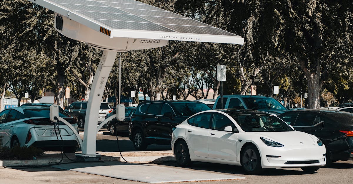 découvrez comment l'innovation durable façonne l'avenir, en combinant technologie, écologie et responsabilité sociale pour créer des solutions innovantes et respectueuses de l'environnement.
