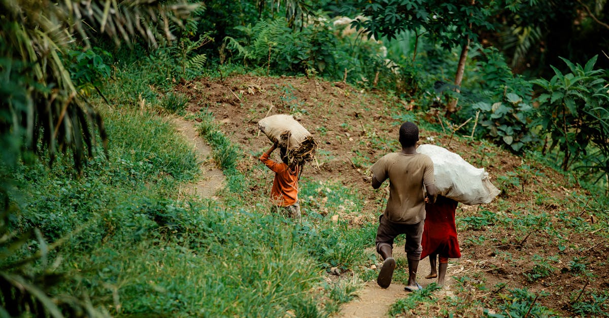 découvrez les normes environnementales essentielles pour protéger notre planète. informez-vous sur les pratiques durables, les réglementations, et les initiatives mondiales visant à réduire l'impact écologique. agissons ensemble pour un avenir plus vert.