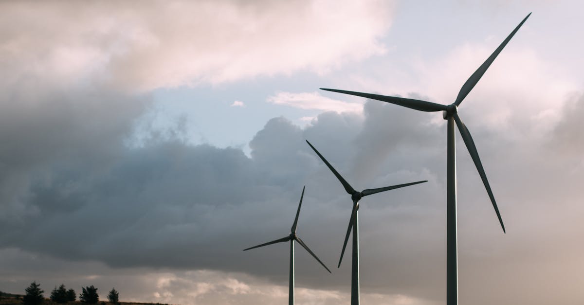 découvrez les énergies renouvelables, une solution durable pour un avenir énergétique respectueux de l'environnement. apprenez comment l'énergie solaire, éolienne et hydraulique peut réduire votre empreinte carbone et contribuer à la lutte contre le changement climatique.