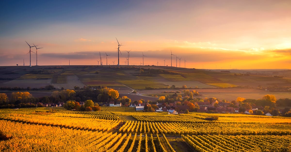 découvrez comment adopter un mode de vie durable grâce à nos conseils pratiques. apprenez à réduire votre empreinte carbone, à consommer de manière responsable et à préserver notre planète pour les générations futures.