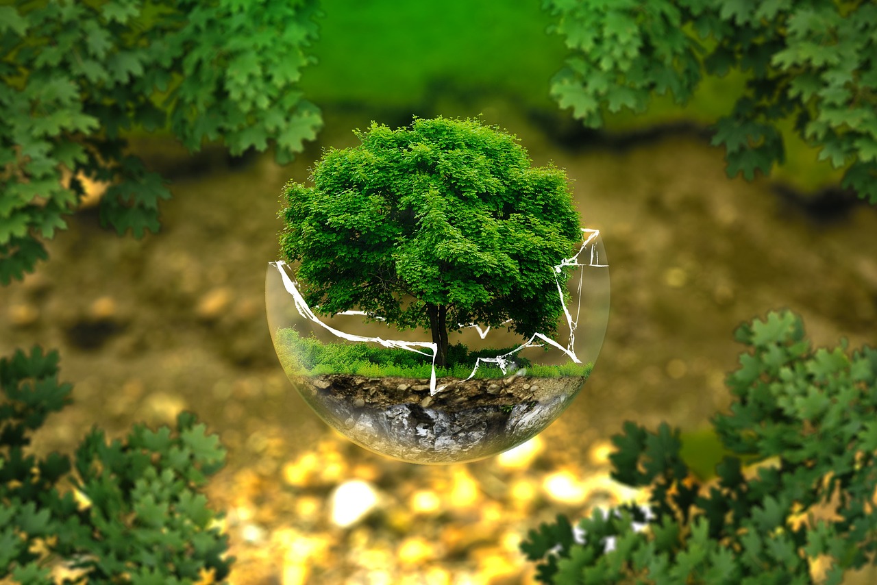 découvrez l'impact environnemental et ses effets sur notre planète, ainsi que des solutions pour réduire notre empreinte écologique.