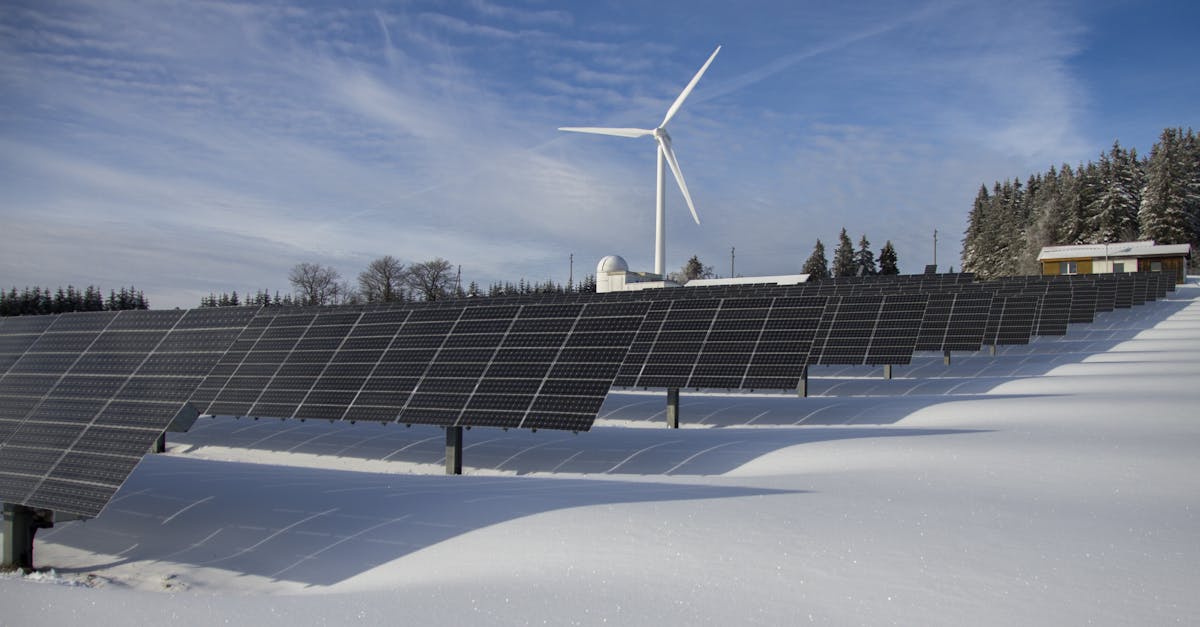 découvrez les enjeux de la durabilité et les pratiques innovantes qui préservent notre planète. explorez des solutions écologiques pour un avenir responsable et engagé.