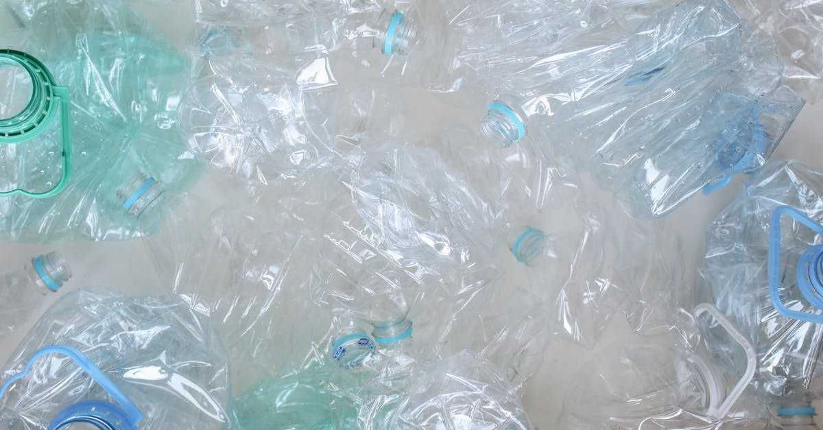 découvrez l'importance du recyclage, ses méthodes variées et son impact positif sur l'environnement. apprenez comment participer à la réduction des déchets et à la préservation de notre planète grâce à des gestes simples au quotidien.