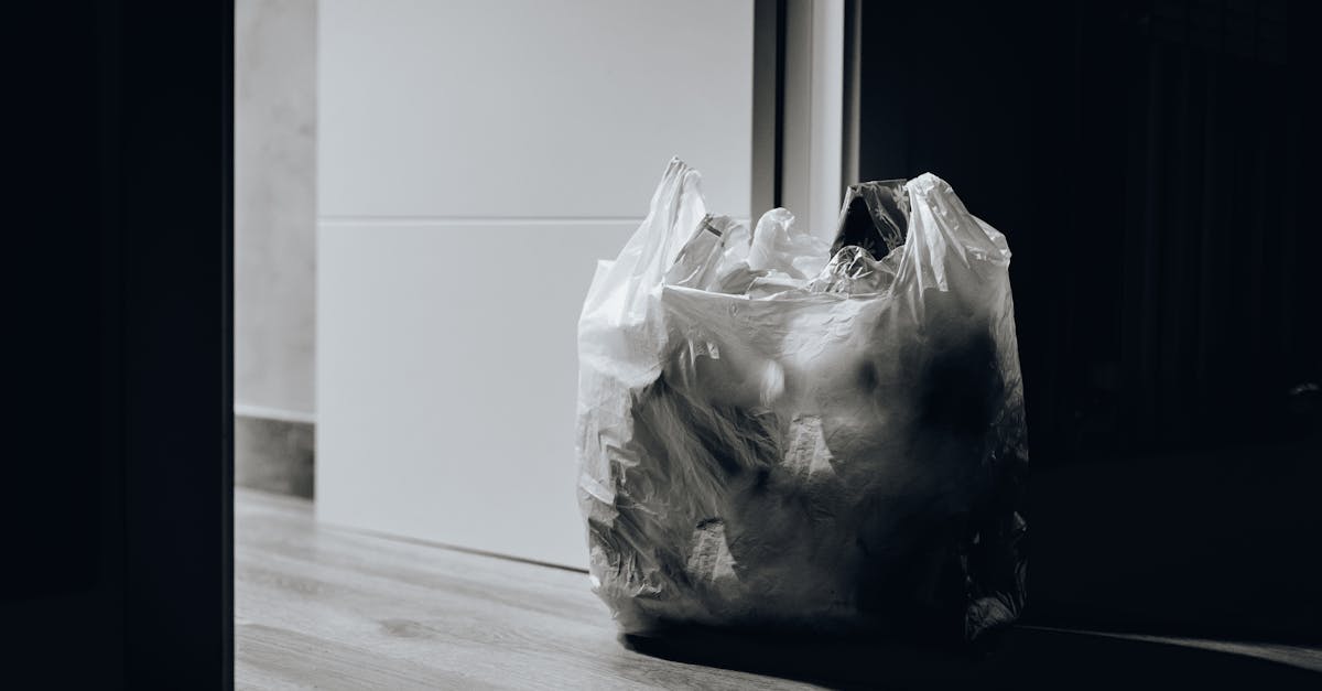 découvrez des stratégies efficaces pour réduire les déchets dans votre quotidien. apprenez à minimiser votre impact environnemental et à adopter des pratiques durables pour un avenir plus vert.