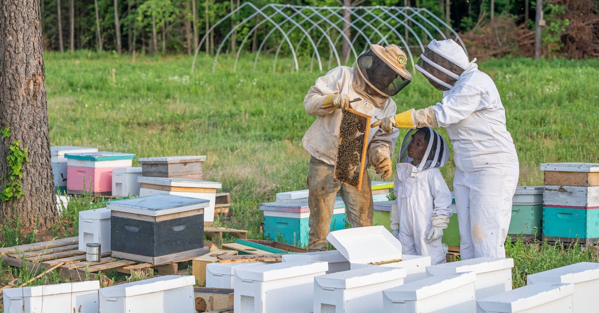 découvrez l'importance de l'éducation environnementale pour sensibiliser les générations futures aux enjeux écologiques. explorez des ressources, des programmes et des initiatives qui favorisent la protection de notre planète et encouragent des comportements durables.