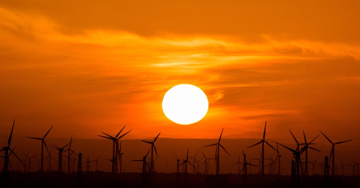 découvrez l'énergie solaire, une source d'énergie renouvelable et durable. apprenez comment elle peut vous aider à réduire votre empreinte carbone et à réaliser des économies sur vos factures d'électricité tout en préservant l'environnement.