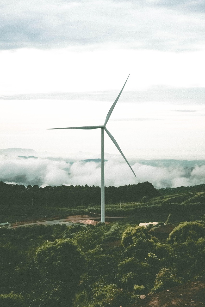 découvrez notre gamme de produits de nettoyage écologiques, efficaces et respectueux de l'environnement pour une maison saine et durable.