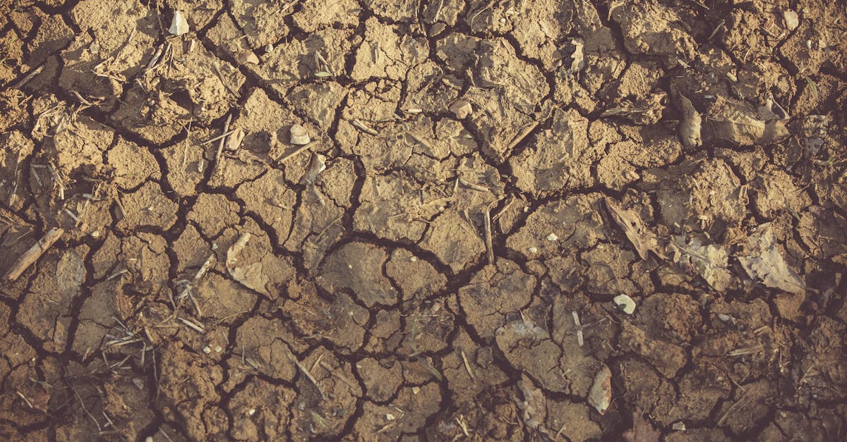 découvrez le phénomène de l'érosion, ses causes et ses conséquences sur notre environnement. apprenez comment ce processus naturel façonne les paysages, impacte la biodiversité et influence les activités humaines. informez-vous sur les méthodes de prévention et de gestion pour protéger nos terres et ressources.