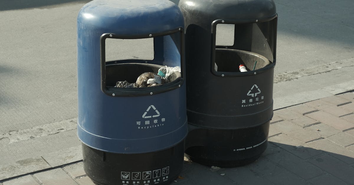 découvrez comment les systèmes de gestion environnementale peuvent aider les entreprises à améliorer leur performance écologique, réduire leur empreinte carbone et se conformer aux réglementations environnementales tout en favorisant la durabilité.