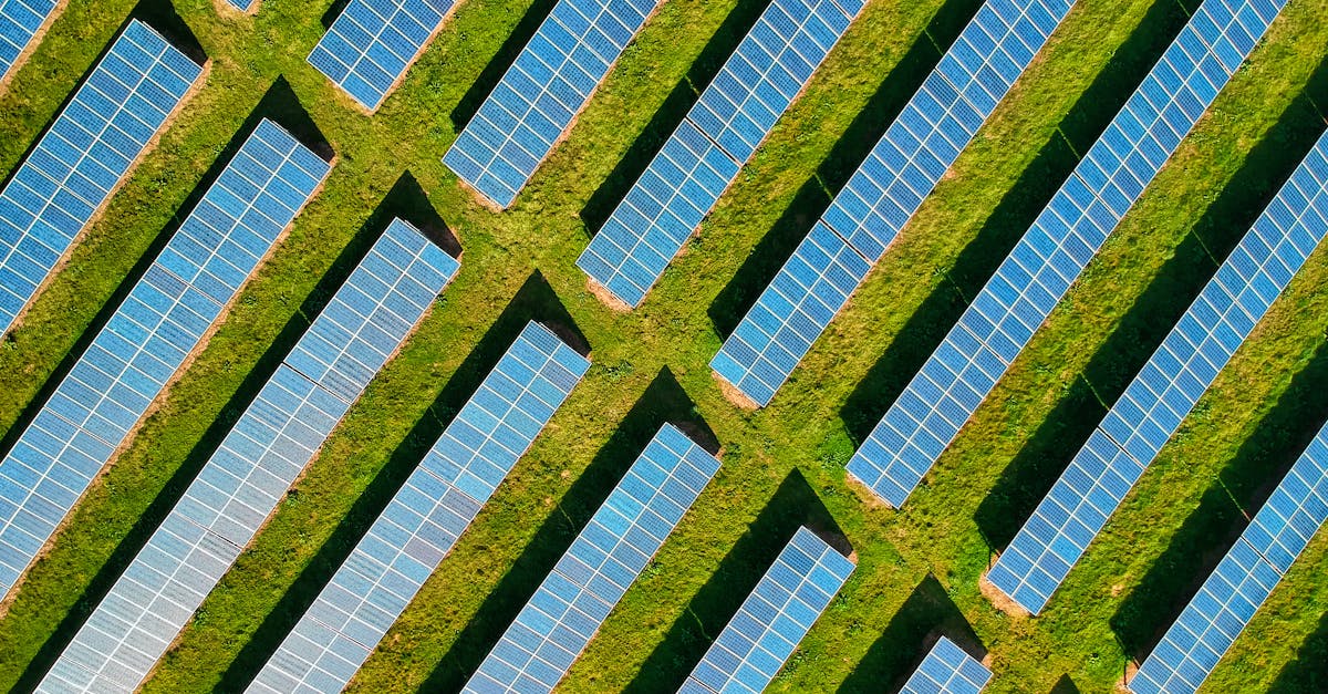 découvrez ce qu'est l'empreinte carbone, son impact sur l'environnement et les moyens de la réduire. informez-vous sur les actions à entreprendre pour un avenir plus durable.