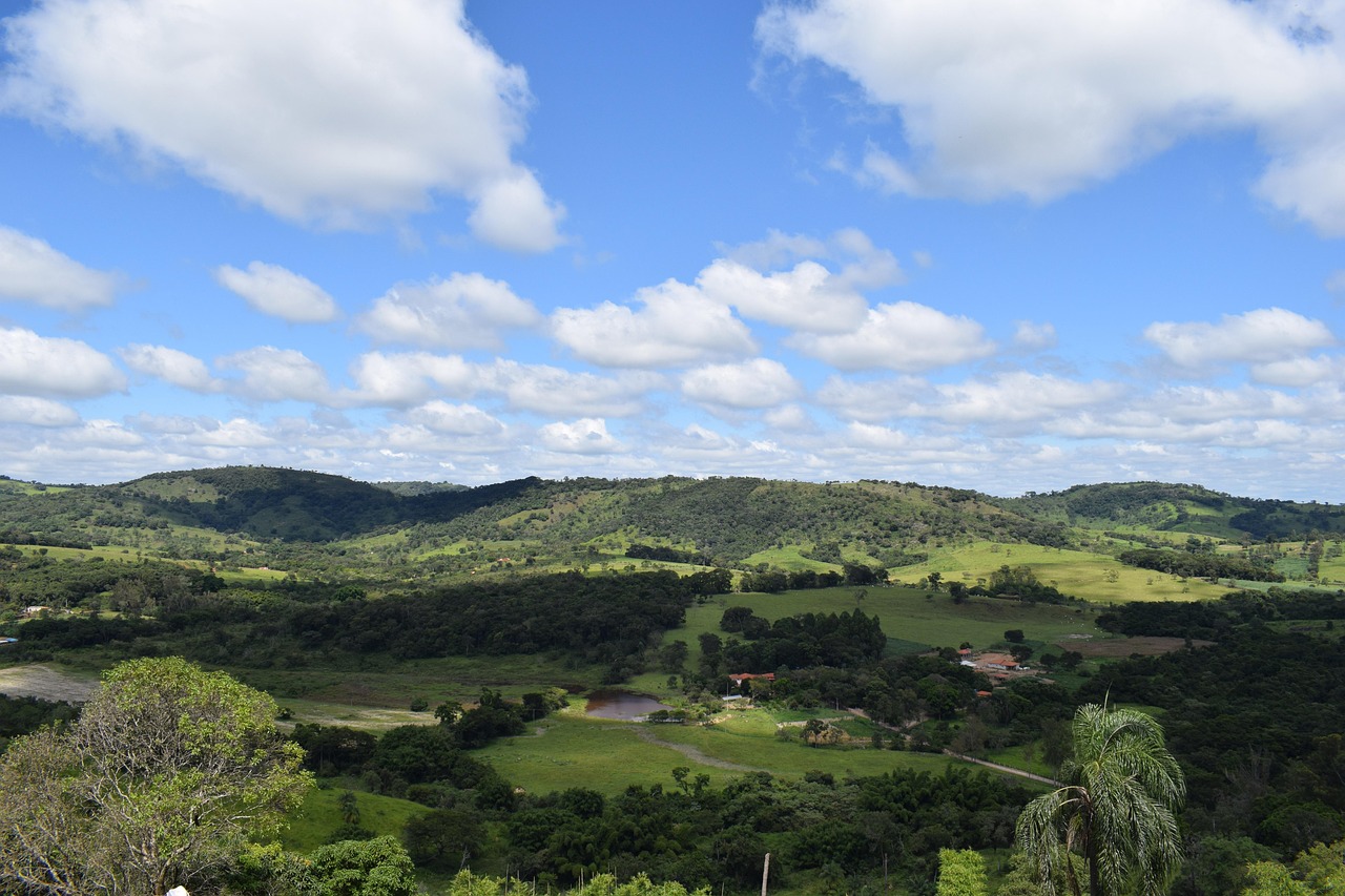 découvrez l'écotourisme, une façon responsable de voyager qui préserve la nature et soutient les communautés locales. plongez dans des expériences authentiques et respectueuses de l'environnement tout en explorant les merveilles de notre planète.