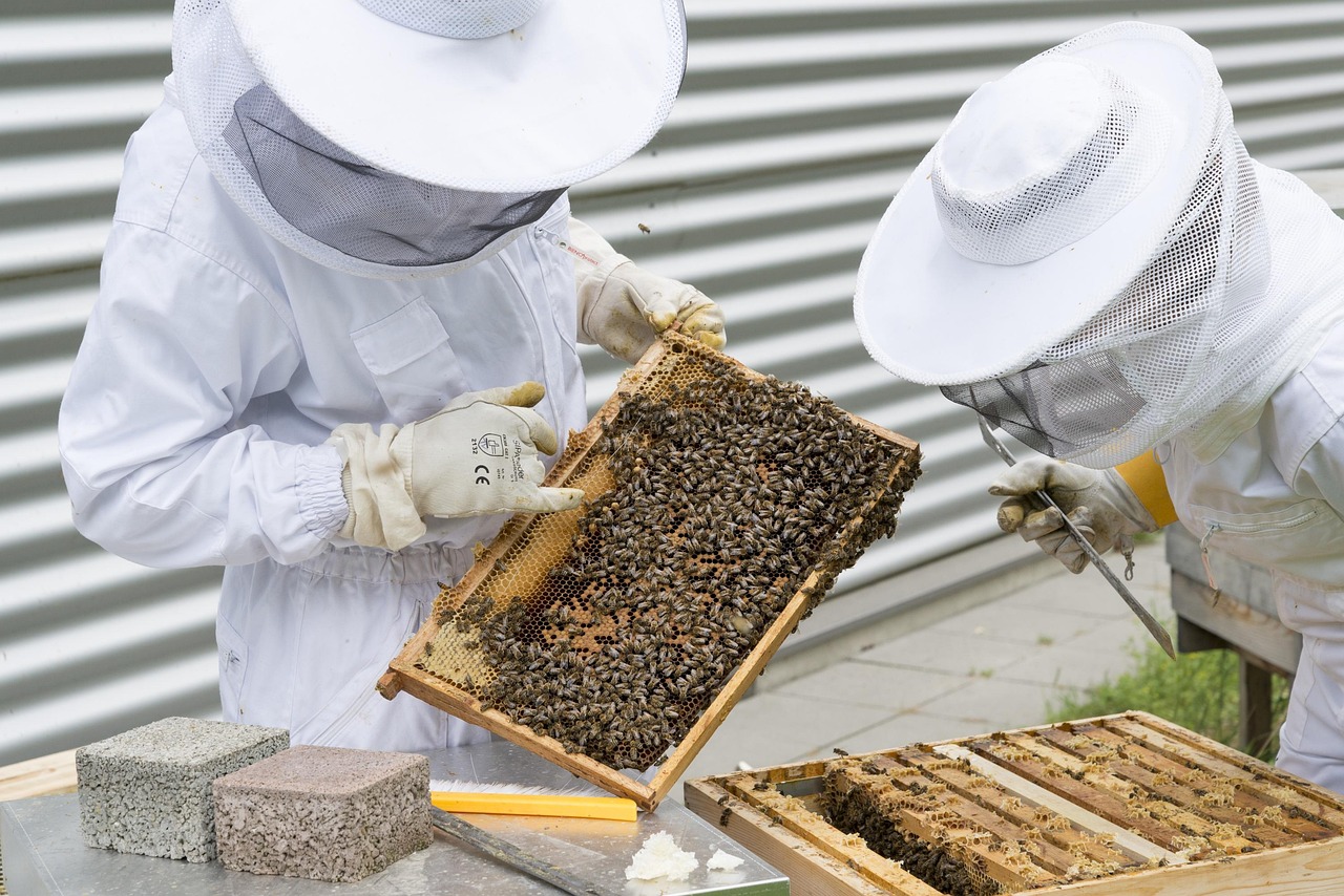découvrez les pratiques d'agriculture durable qui préservent l'environnement, favorisent la biodiversité et assurent une production alimentaire responsable pour les générations futures.