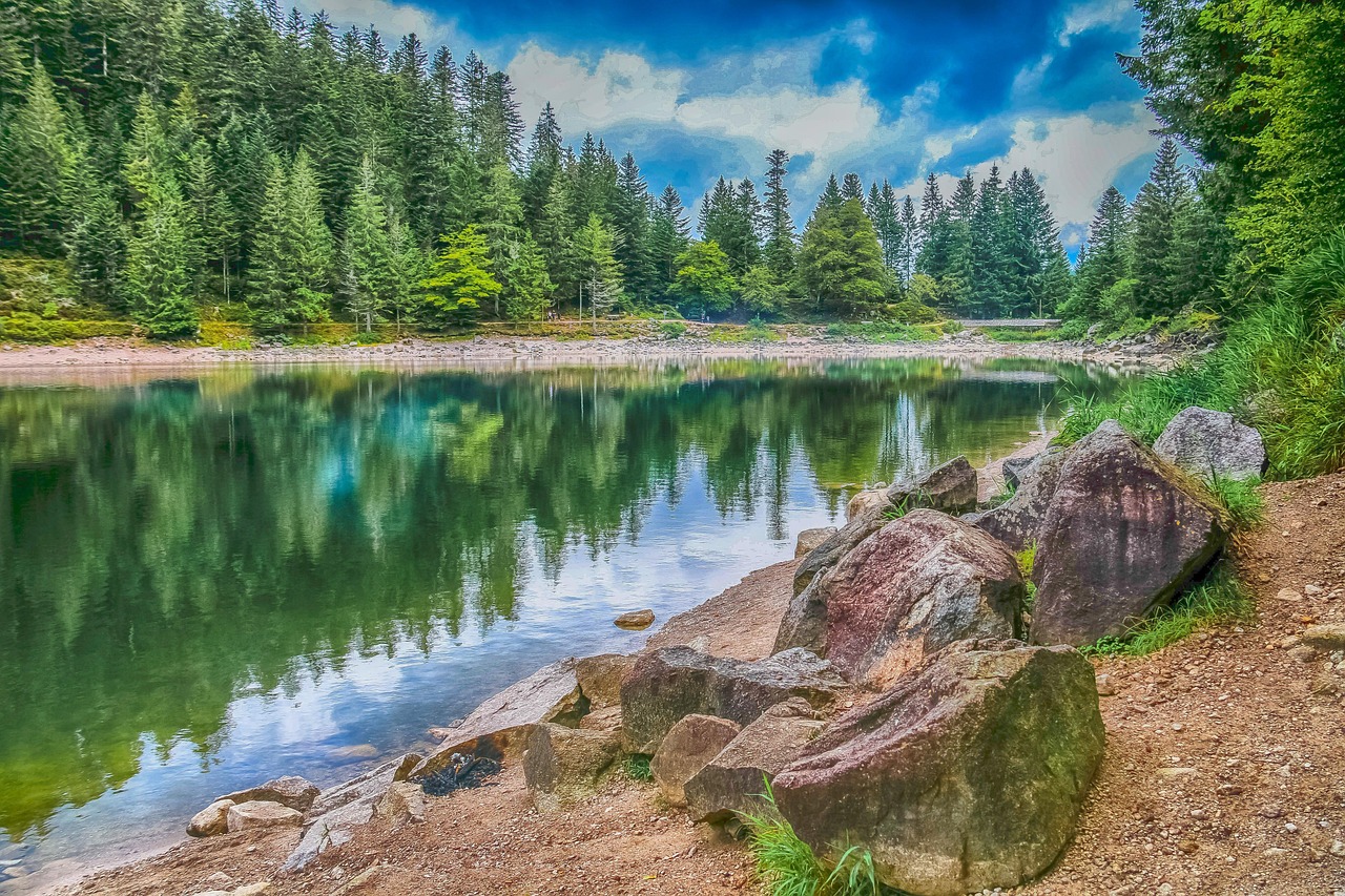 découvrez l'importance de la biodiversité pour notre planète. explorez les différents écosystèmes, la variété des espèces et les actions que nous pouvons entreprendre pour préserver la richesse naturelle de notre environnement.