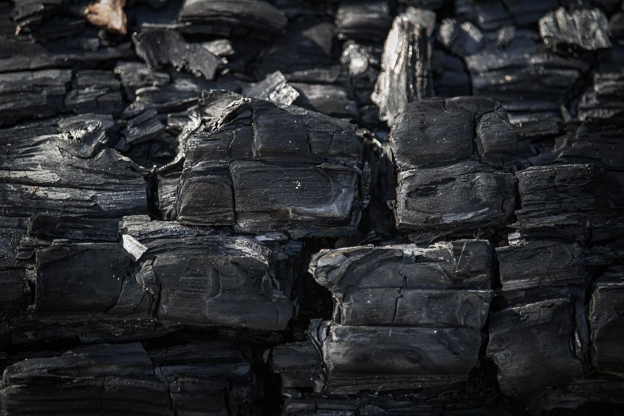 découvrez ce qu'est l'empreinte carbone, son impact sur l'environnement et les moyens de la réduire pour un avenir plus durable. apprenez à évaluer votre propre empreinte et à adopter des pratiques écoresponsables.