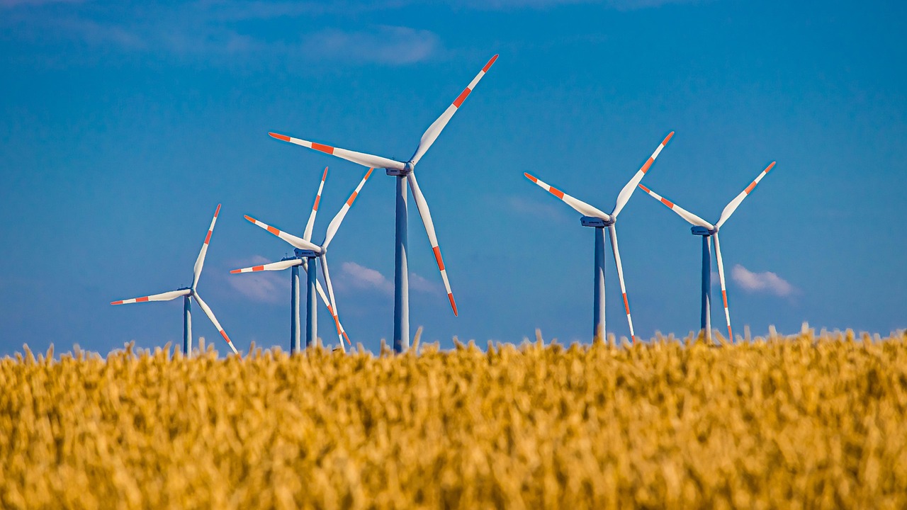 découvrez notre stratégie durable visant à promouvoir des pratiques écologiques et responsables pour un avenir meilleur.