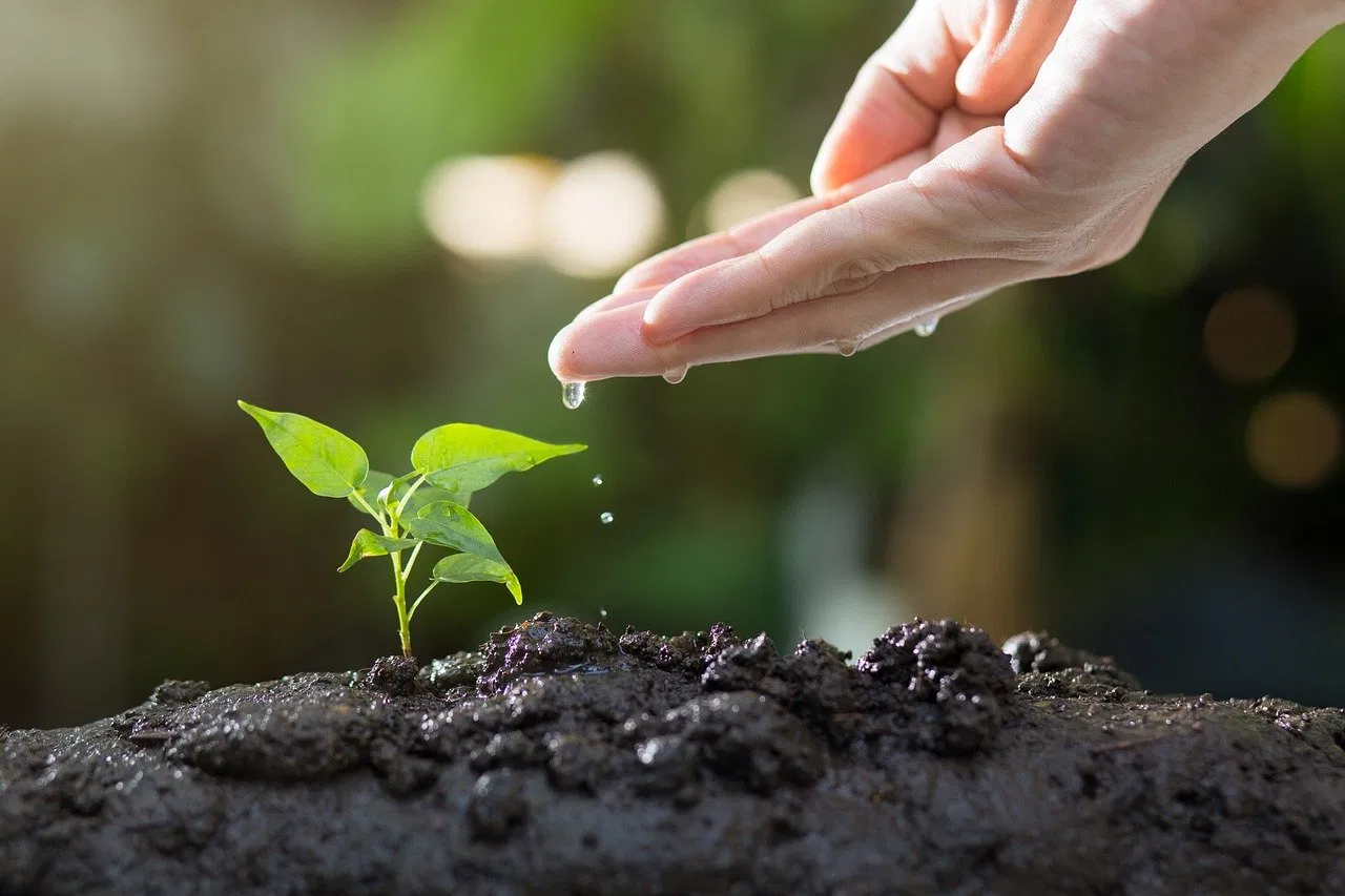 Le septième art, un acteur engagé pour l’écologie ?