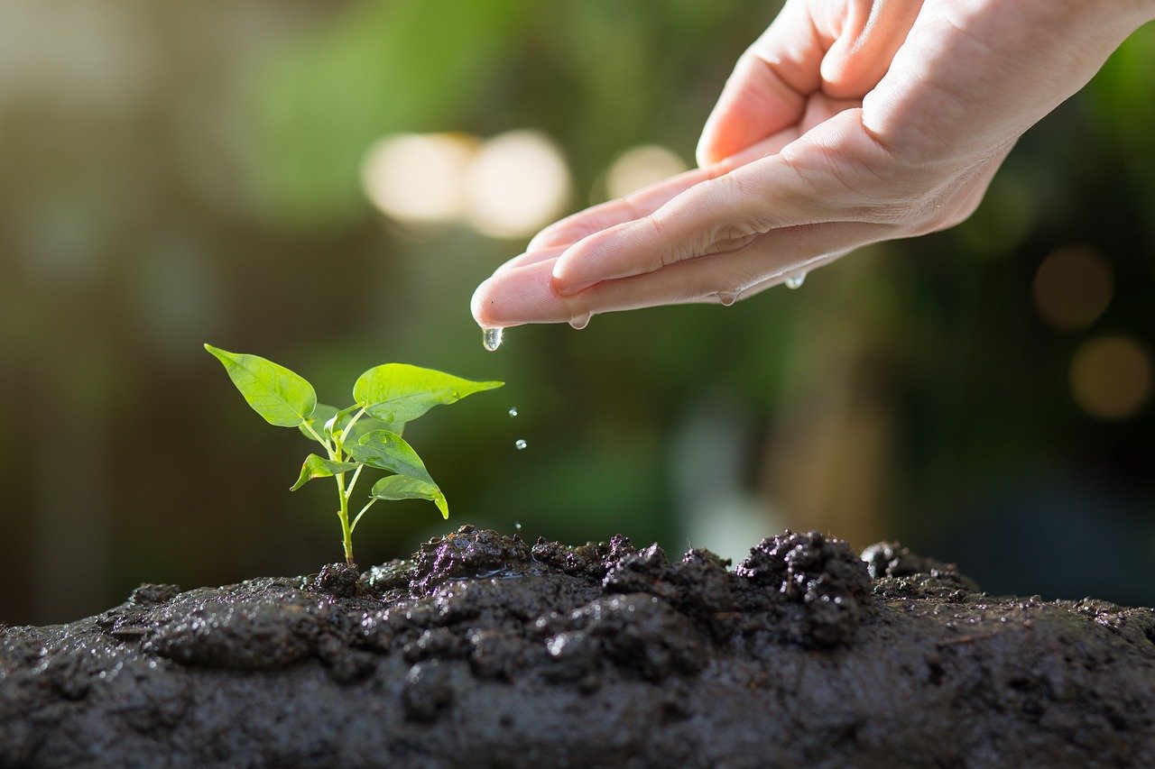 Le septième art, un acteur engagé pour l’écologie ?