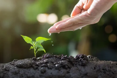 Le septième art, un acteur engagé pour l’écologie ?