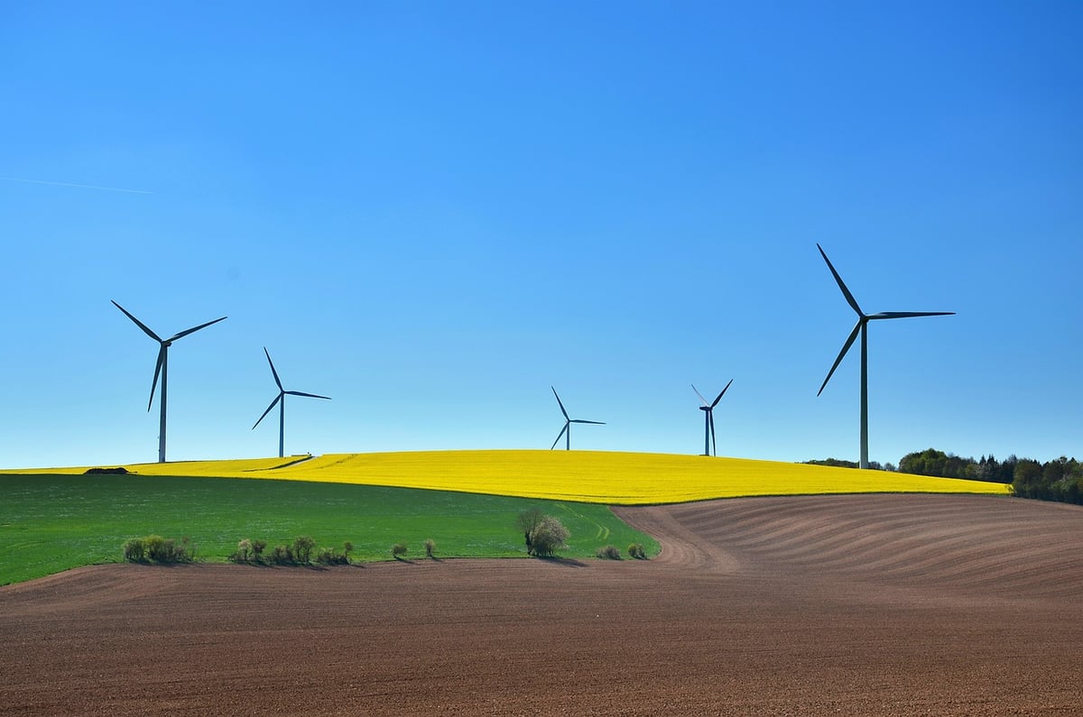 Le rôle crucial de la finance durable dans l’atteinte d’un équilibre carbone vers zéro émission nette