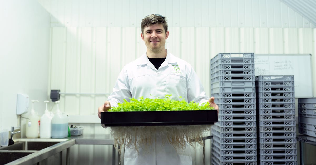 Agriculture durable : les pratiques innovantes pour un avenir respectueux de l’environnement