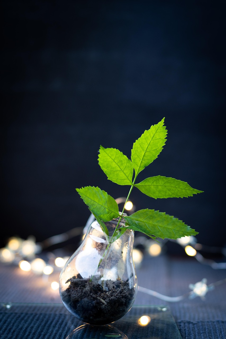 Recyclage innovant : les nouvelles tendances à adopter dès maintenant