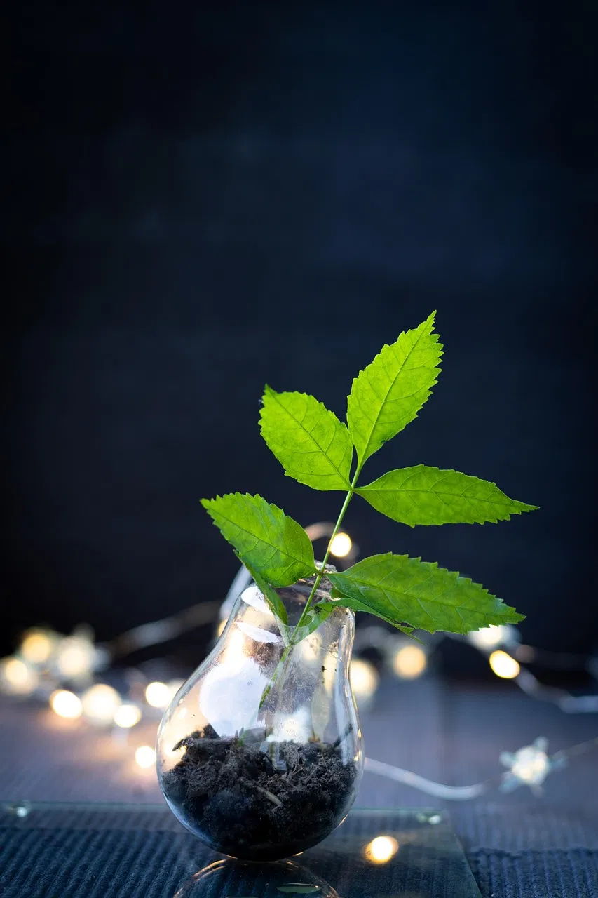 Recyclage innovant : les nouvelles tendances à adopter dès maintenant