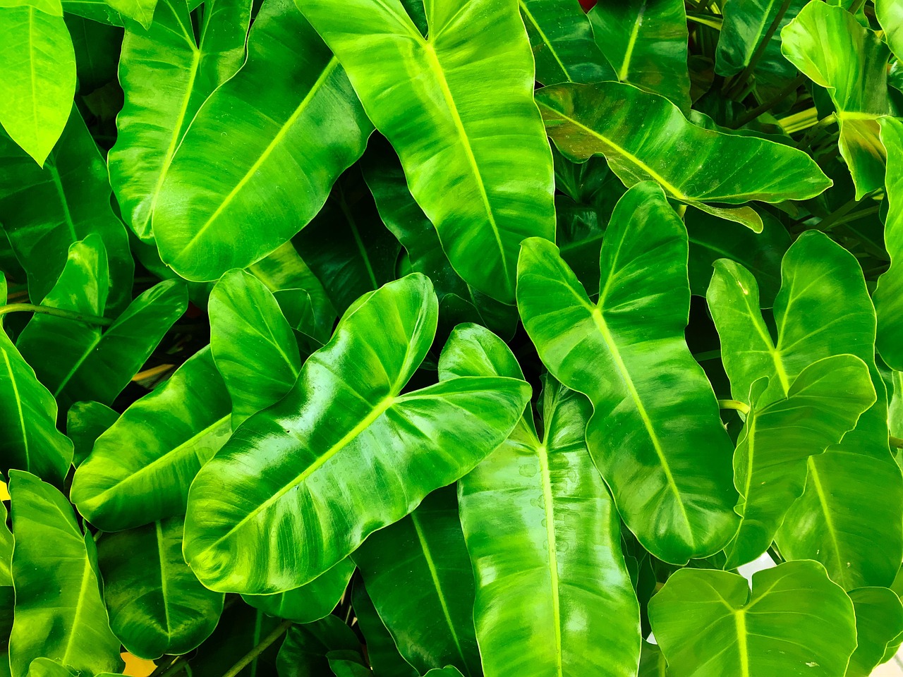 Monitoring environnemental : techniques et outils pour un suivi efficace