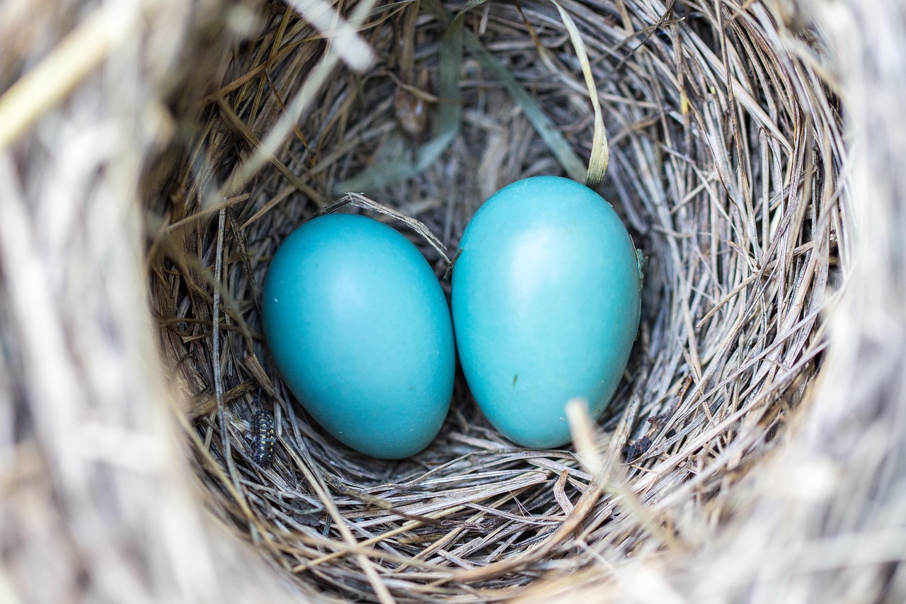 Écologie et économie : vers un modèle de durabilité rentable