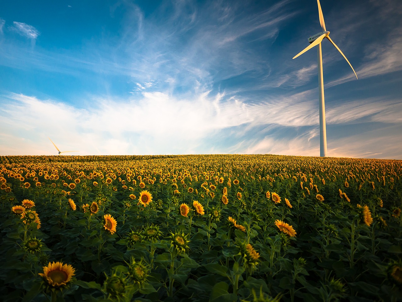 Les énergies renouvelables et leur impact direct sur le bilan carbone