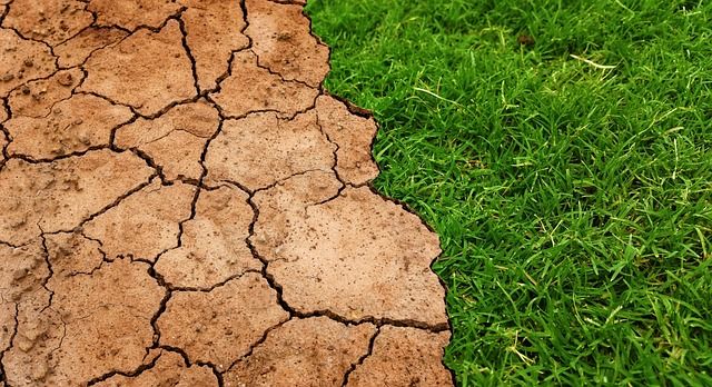 COP30 à Belém : Redonner un nouvel élan à la lutte mondiale contre le changement climatique