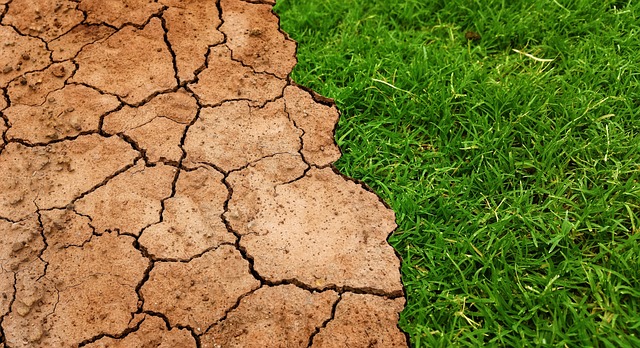 COP30 à Belém : Redonner un nouvel élan à la lutte mondiale contre le changement climatique