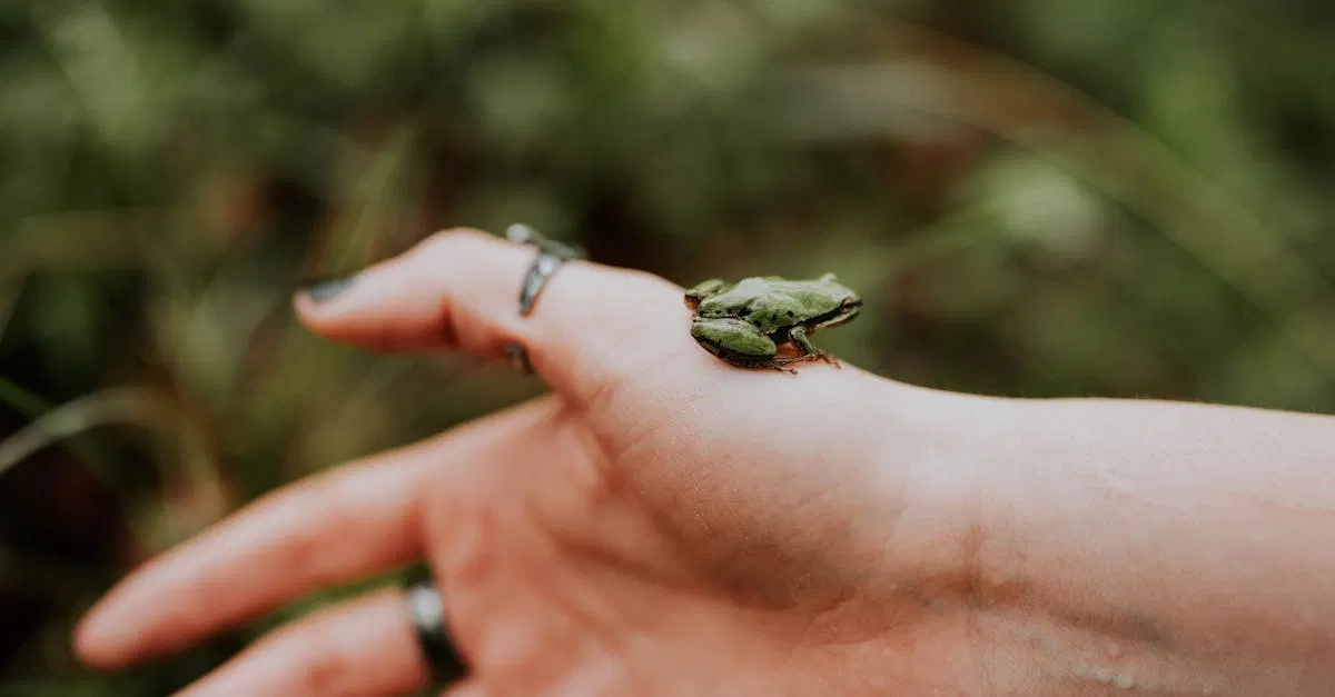 Associations environnementales : comment elles contribuent à la protection de la planète