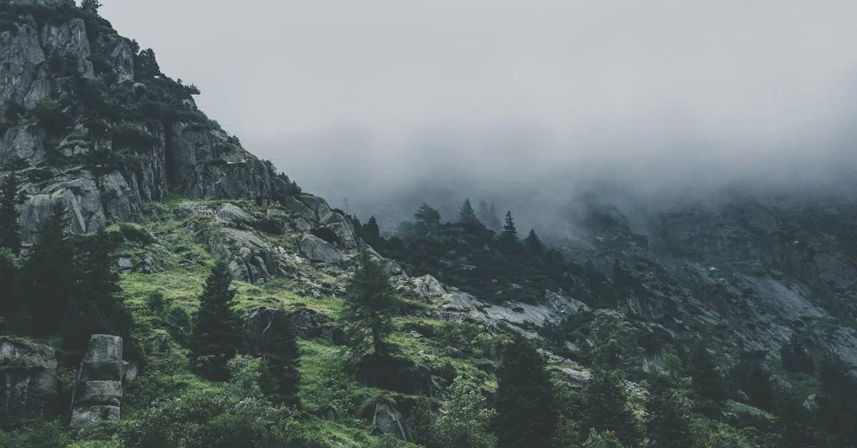 Bilan écologique : comprendre son impact sur notre environnement