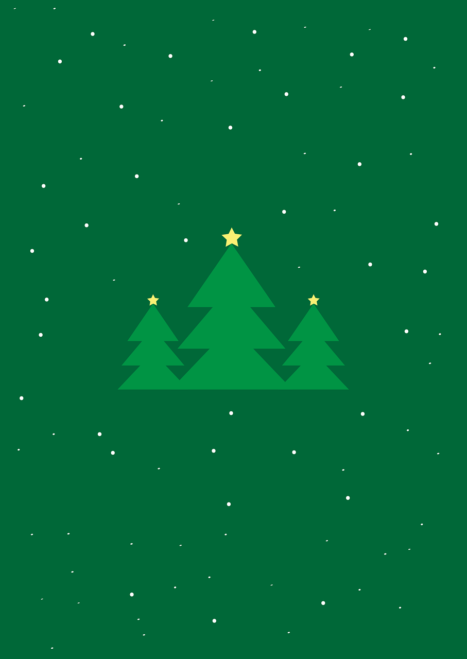 Noël : quel sapin choisir pour un impact écologique optimal, naturel ou en plastique ?