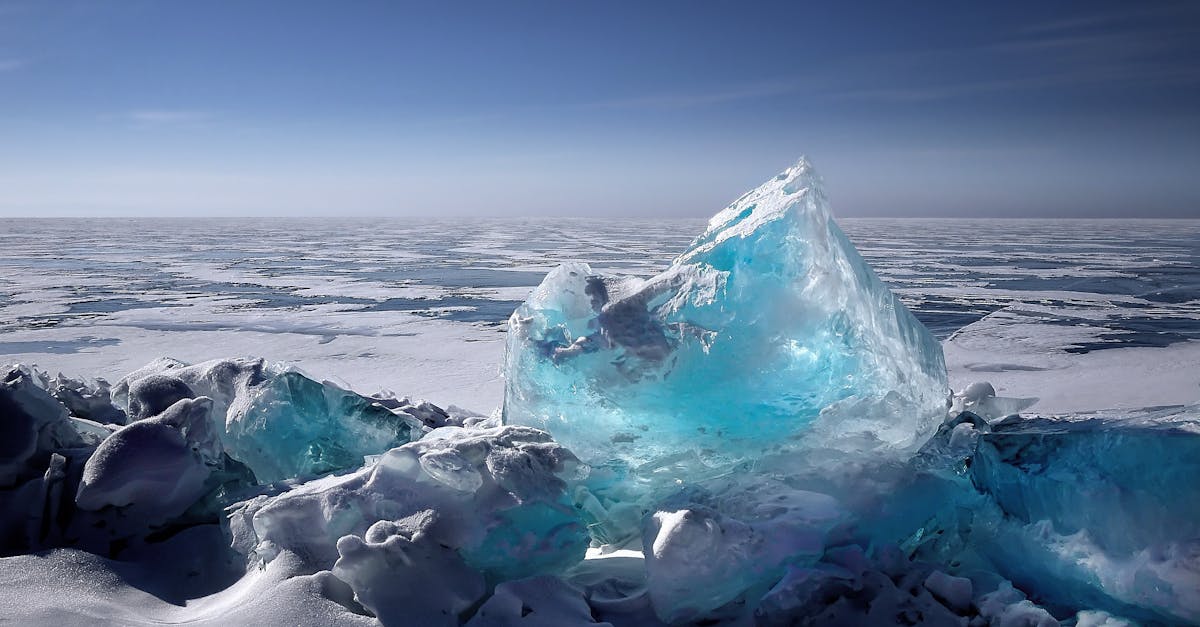 Changement climatique : comprendre ses impacts sur notre environnement