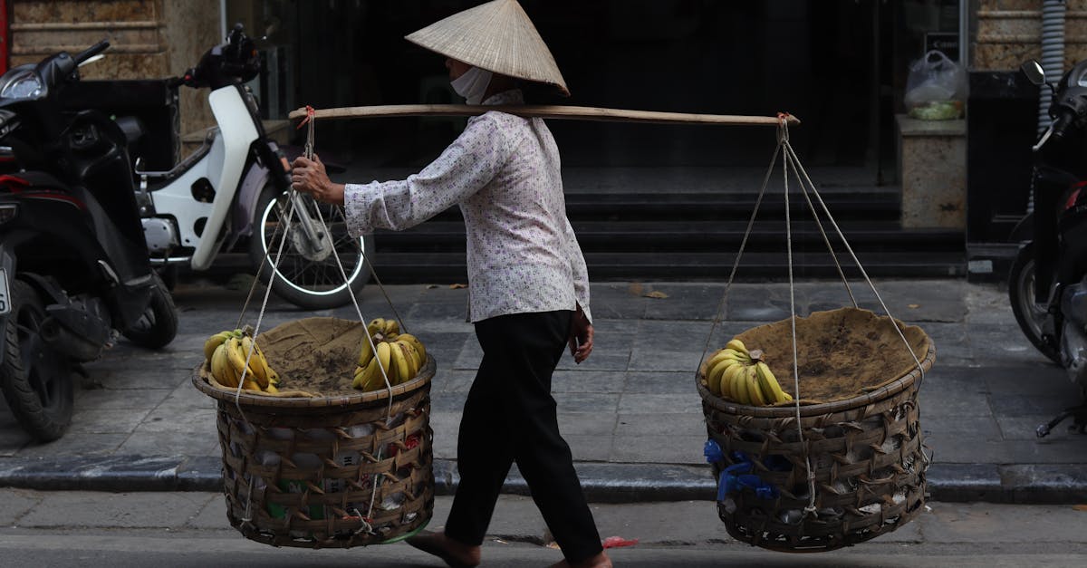 Marché du carbone : Comprendre ses enjeux et son impact sur l’économie verte