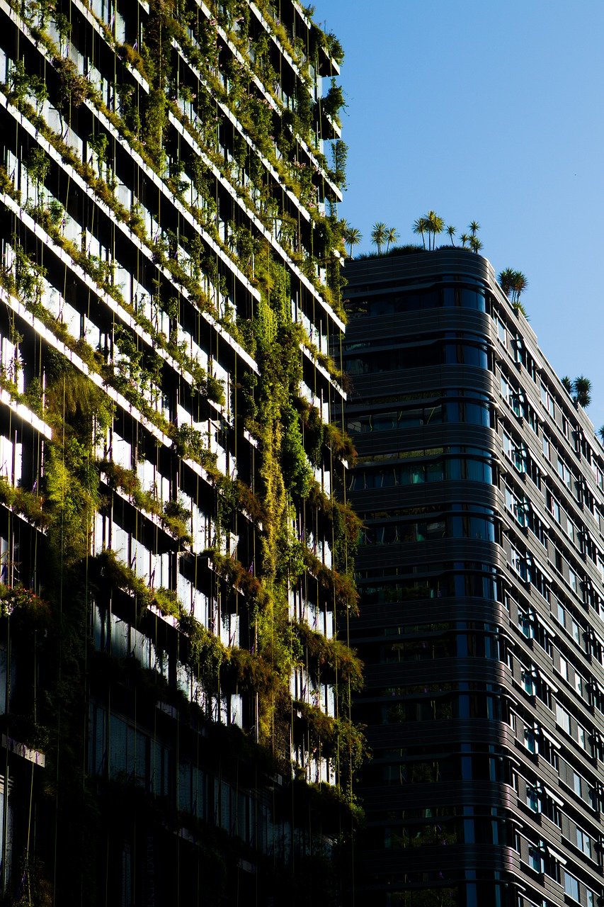Les jardins urbains et leur contribution au bilan carbone