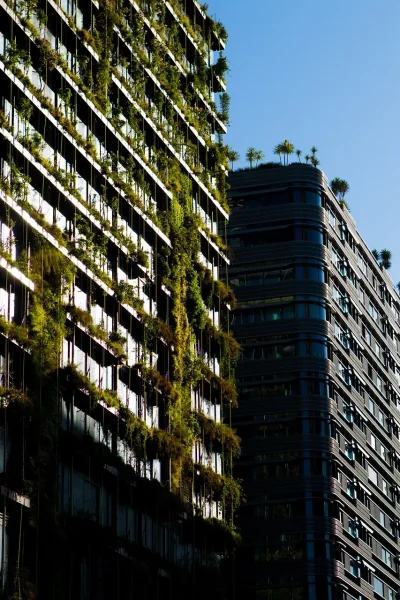Les jardins urbains et leur contribution au bilan carbone