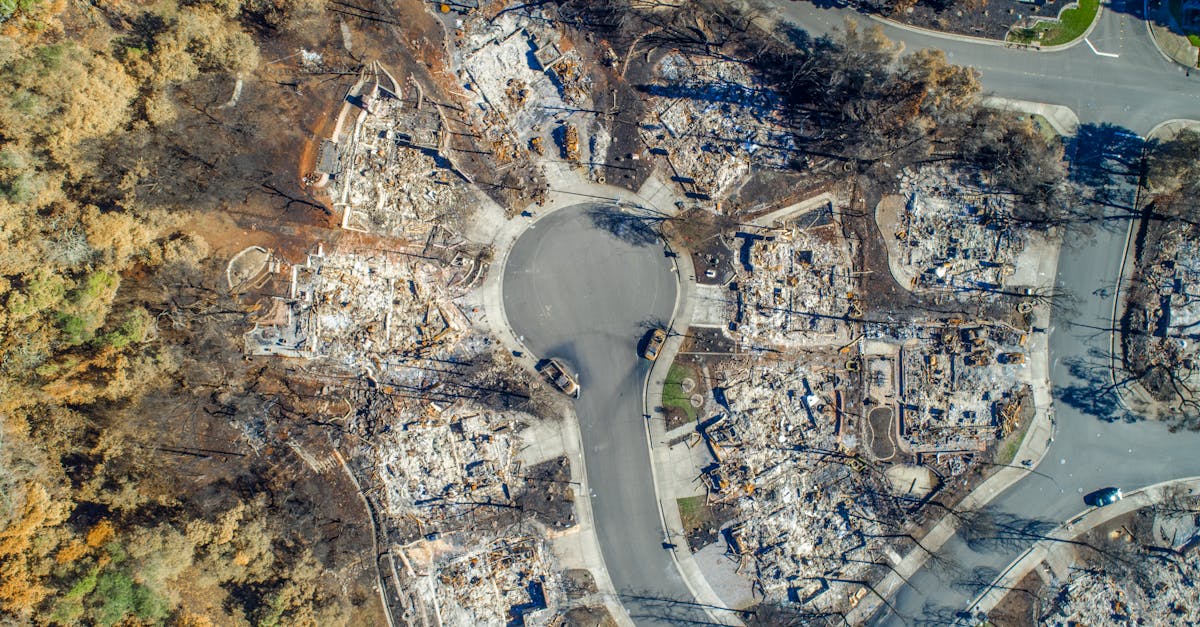 Impact environnemental : comprendre les conséquences de nos choix sur la planète